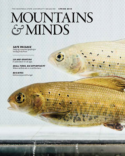 Mountains and minds cover photo, Spring 2018