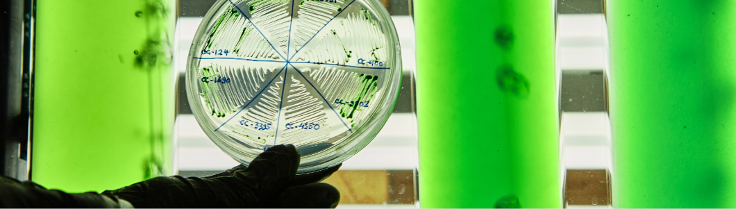 biological engineering