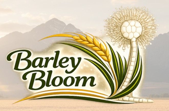 Koji barley variations - flavorful barley!