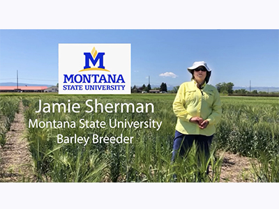 Jamie Sherman discusses winter breeding program