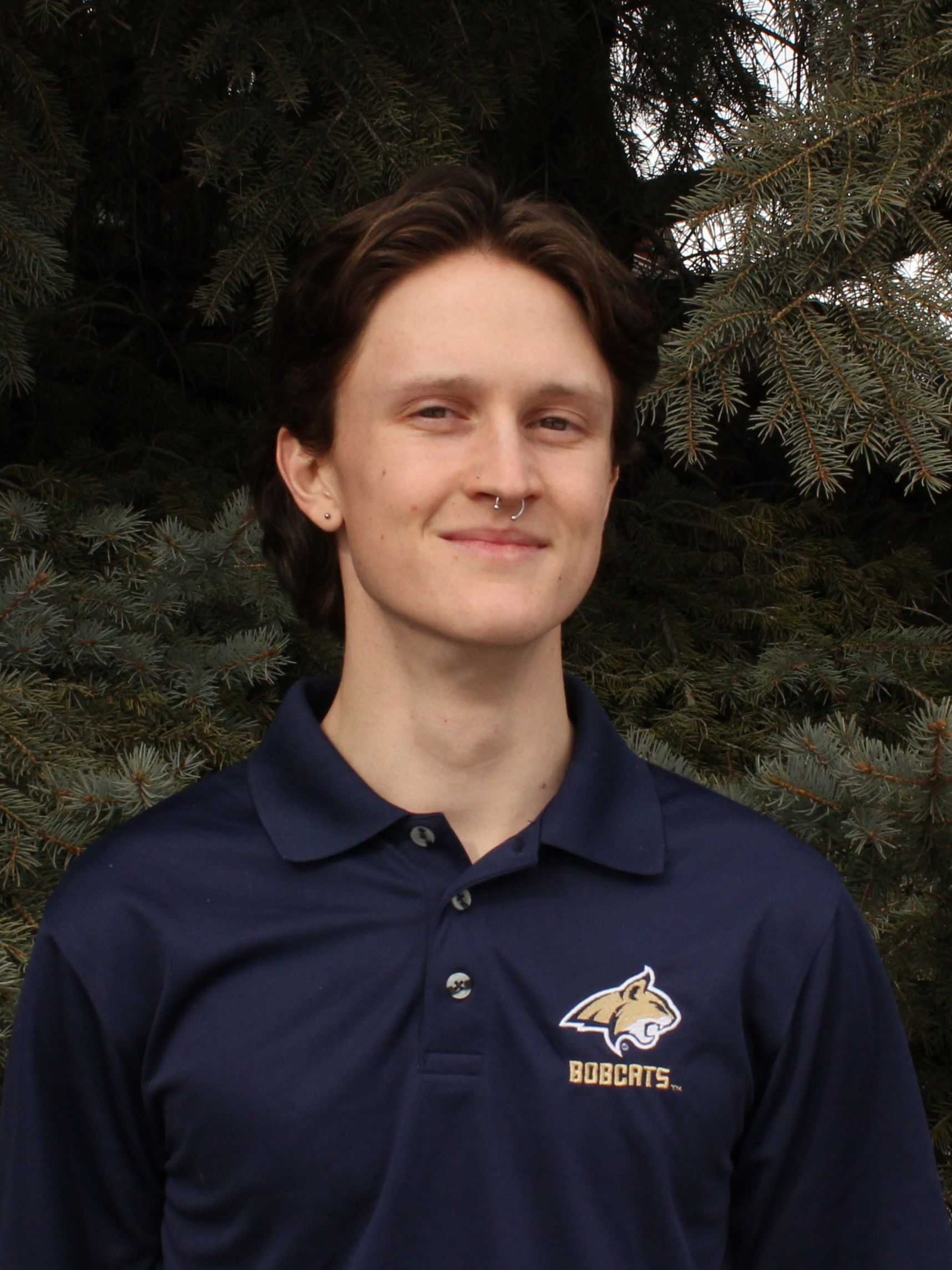 Put Image Description Here