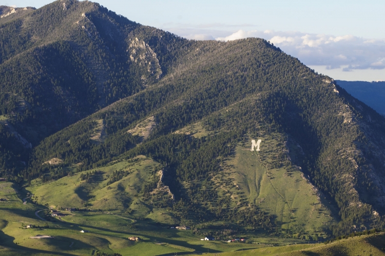 "College M" Hiking Trail Photo of "College M" Hiking Trail