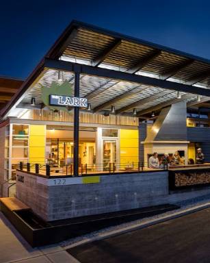 the LARK the LARK Image