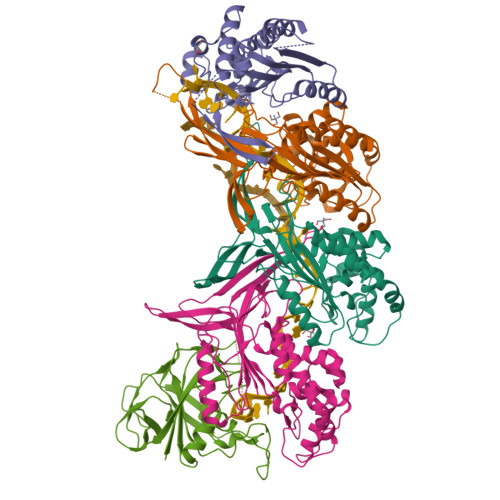 9CP2