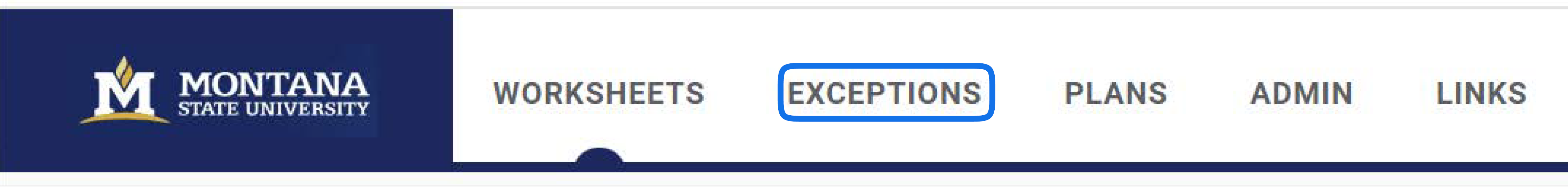 exceptions