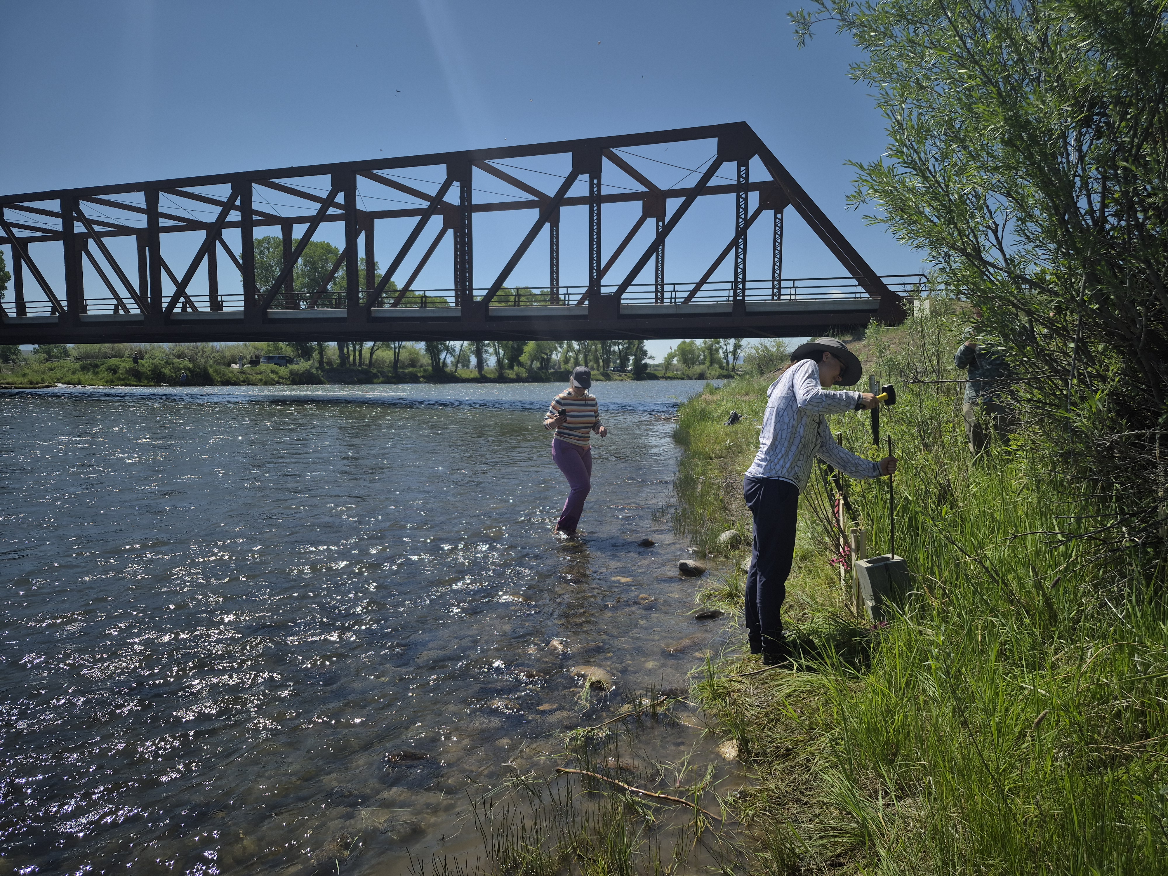 Students collecting crawdads along Missouri River