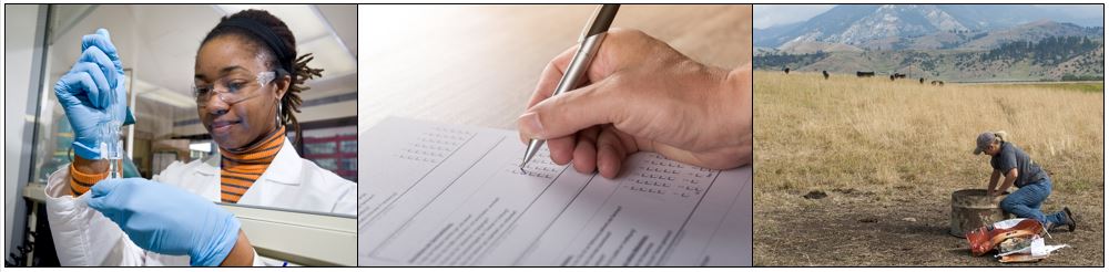 woman in lab, paper survey, woman in pasture with cattle