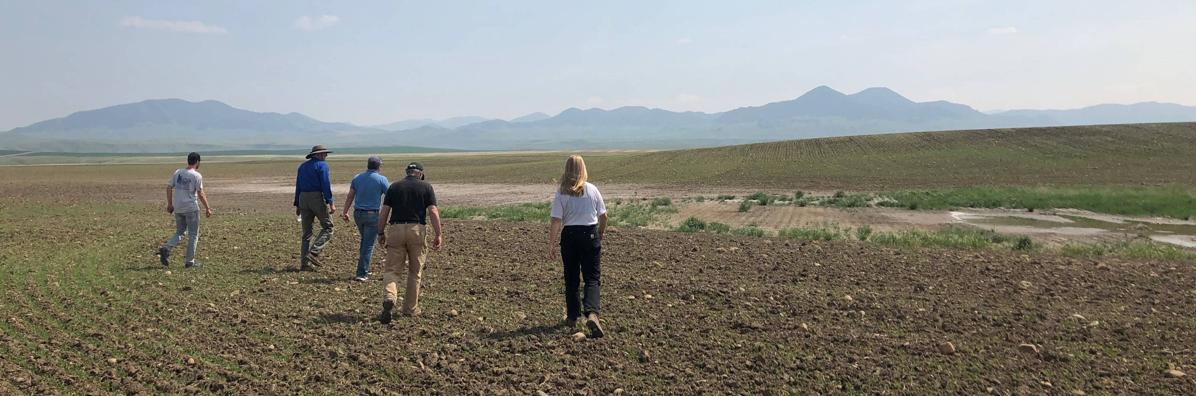 students walk across field