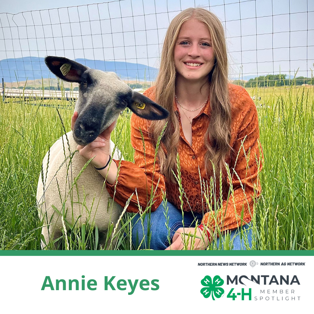 Annie Keyes and her sheep