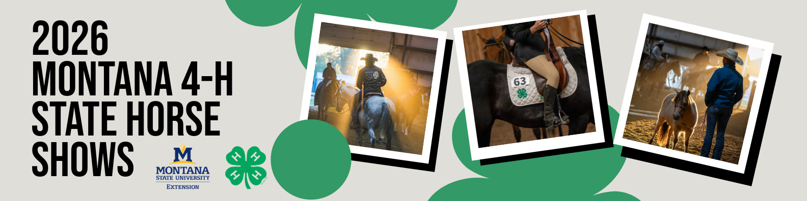 Horse Show Cover