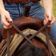 Person on a tan horse holding reins crossed together