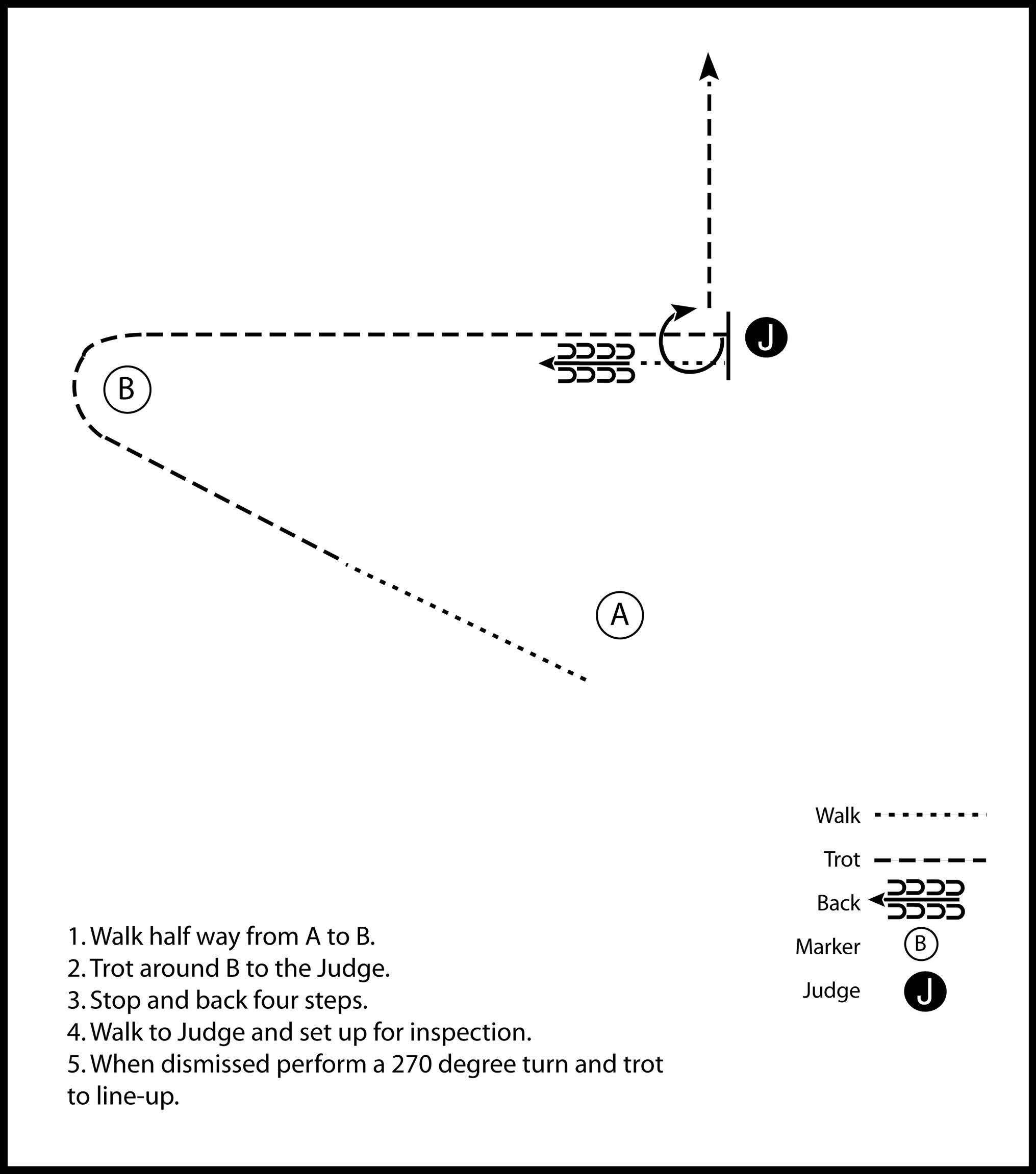 This diagram shows the steps for a horse showmanship pattern. It involves walking, trotting, stopping, backing up, and turning, while positioning the horse for inspection in front of a judge, then performing a 270-degree turn to exit the setup.