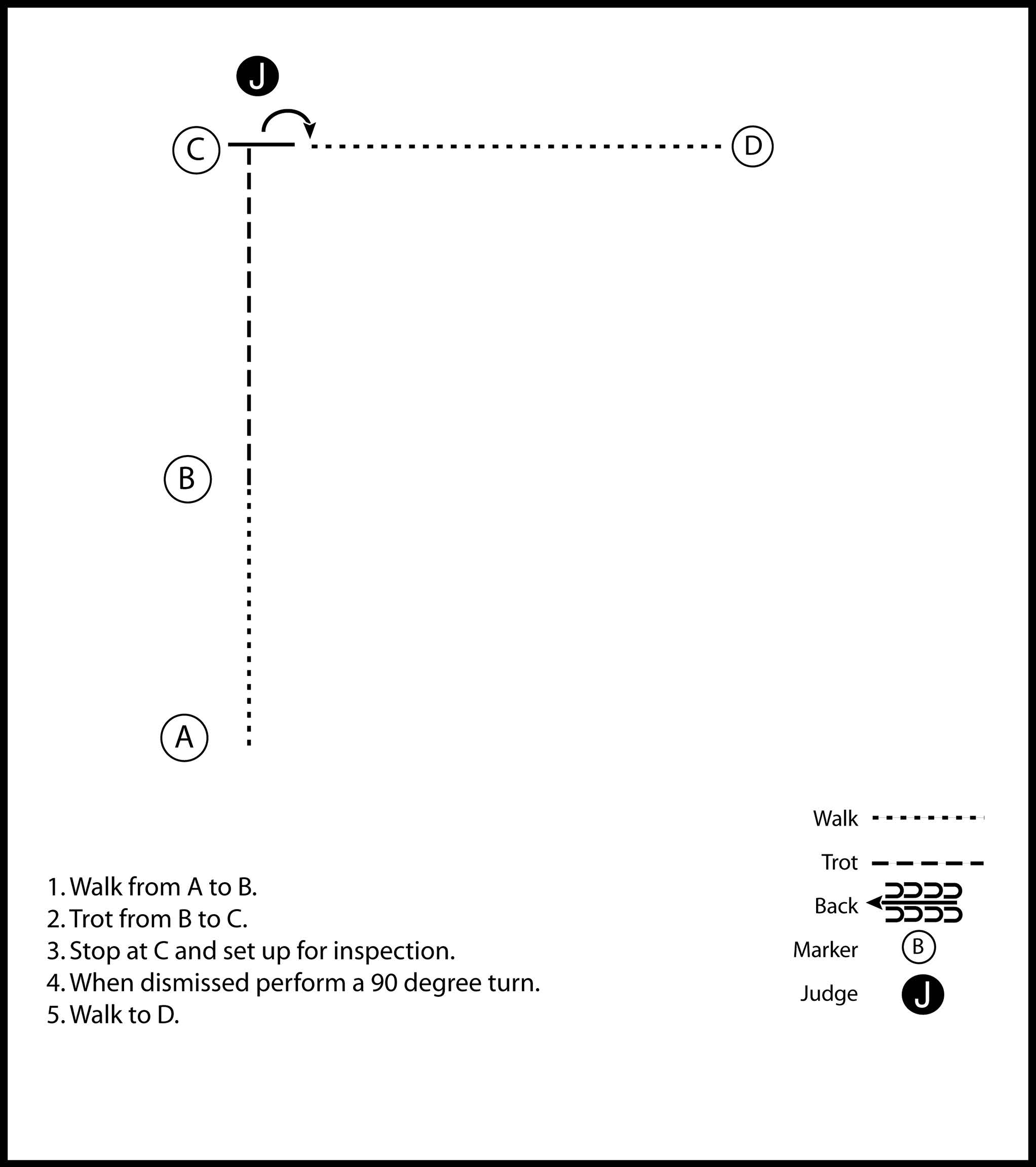 This image is a diagram of a showmanship pattern involving a judge and a participant that is instructed to walk, trot, stop and set up for inspection in front of a judge, when dissmissed, perform a 90 degree turn, and walk.