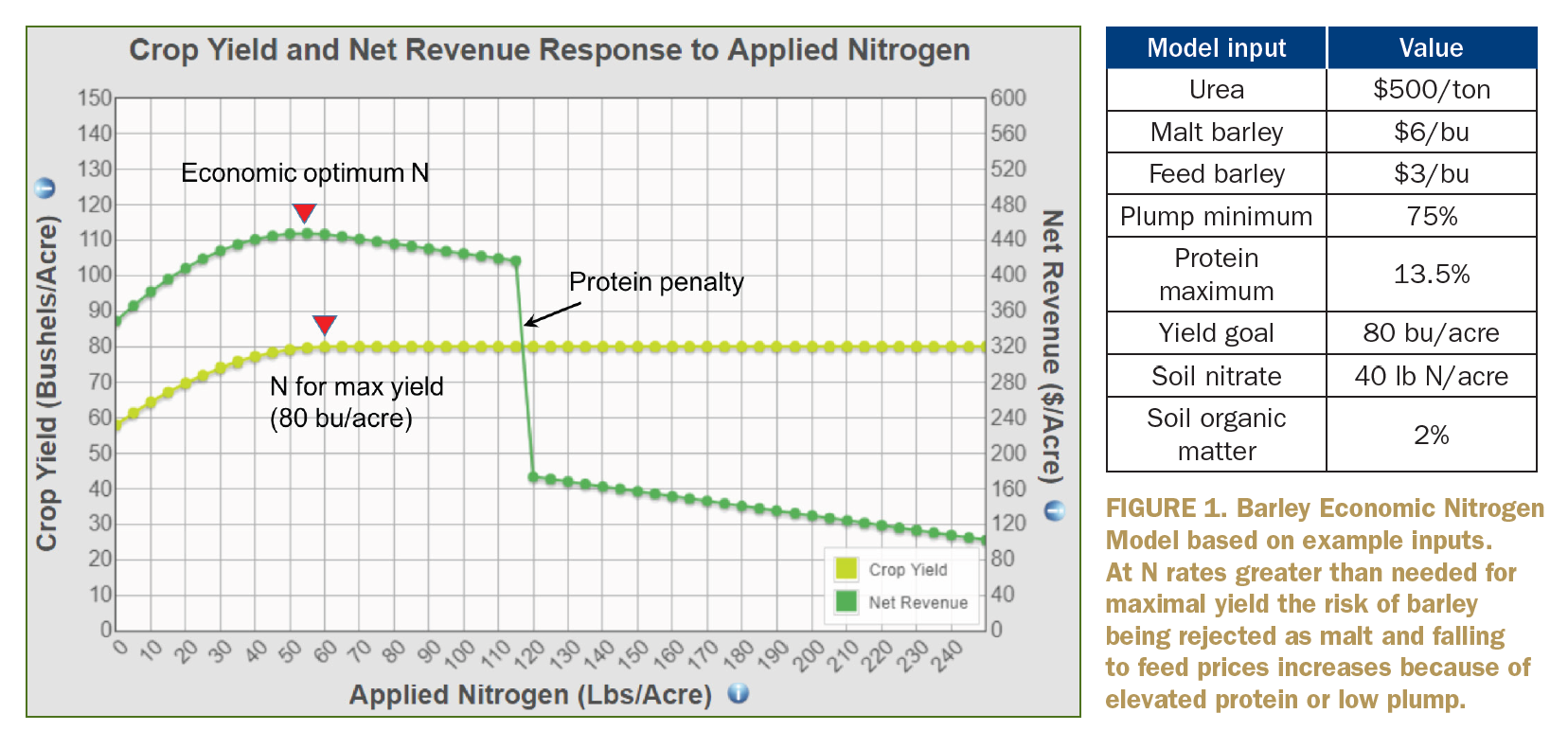 FIGURE 1. Barley Economic Nitrogen Model based on example inputs. At N rates greater than needed for maximal yield the risk of barley being rejected as malt and falling to feed prices increases because of elevated protein or low plump.