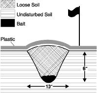 A diagram showing a hole dug in the ground 10 inches in diameter and 6 inches deep with grain in the bottom and filled in with loose soil, then covered with plastic and marked with a flag.