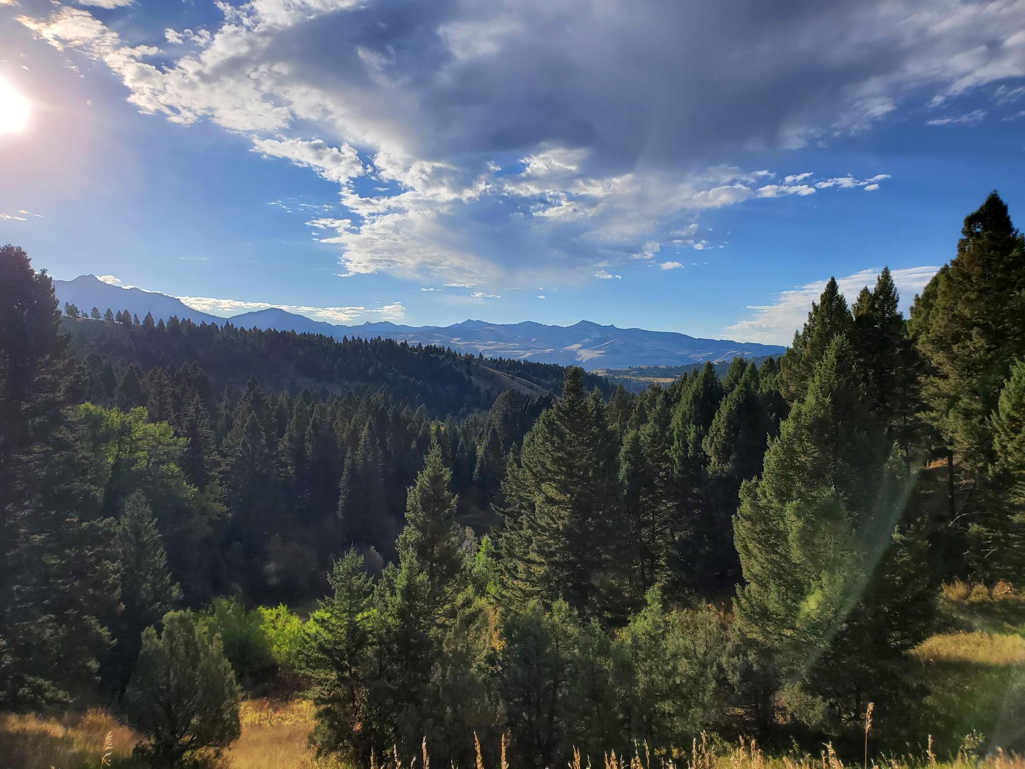 A mountain scene with pine trees in the foreground from the Gracious Spaces leadership retreat