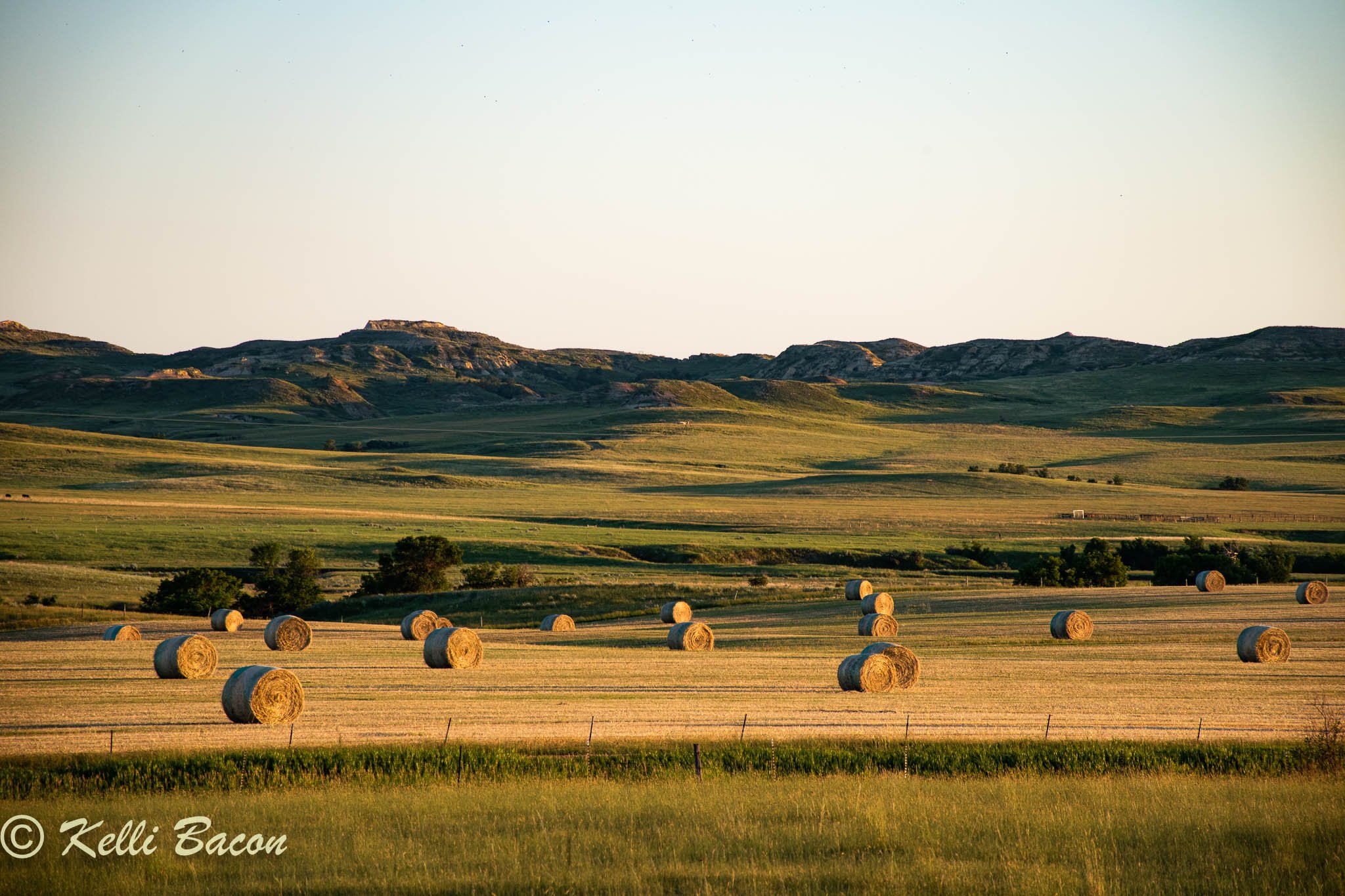 Hay Production