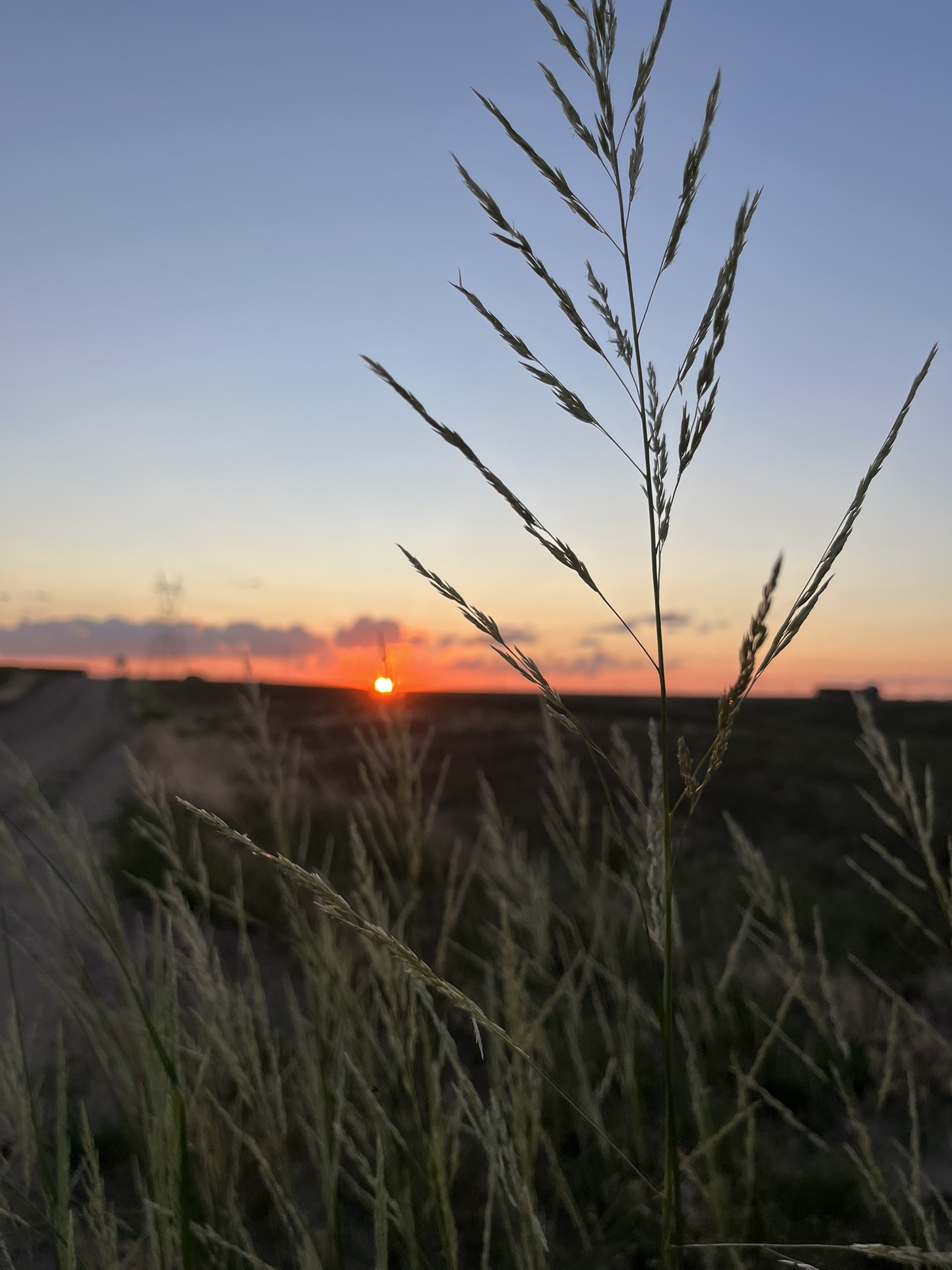 Prairie County sunset