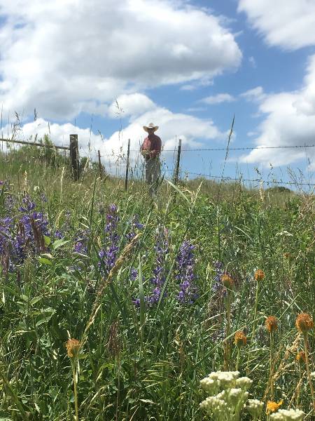 Cowboy Flowers