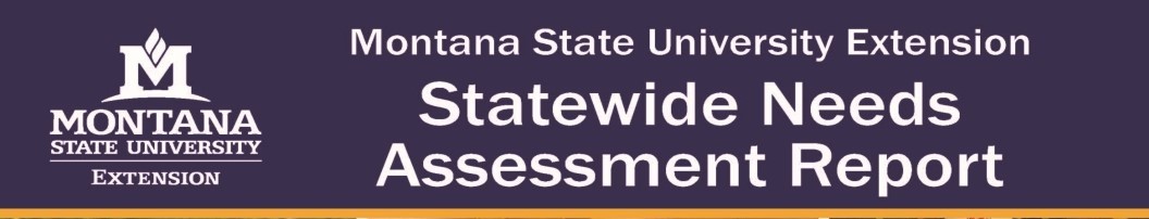 Needs Assessment Report Header 2022 Needs Assessment Report Header