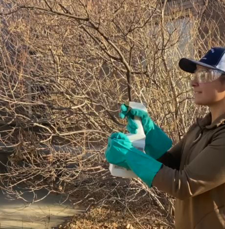 a person wearng rubber gloves and eye protection points a spraybottle onto a tree branch