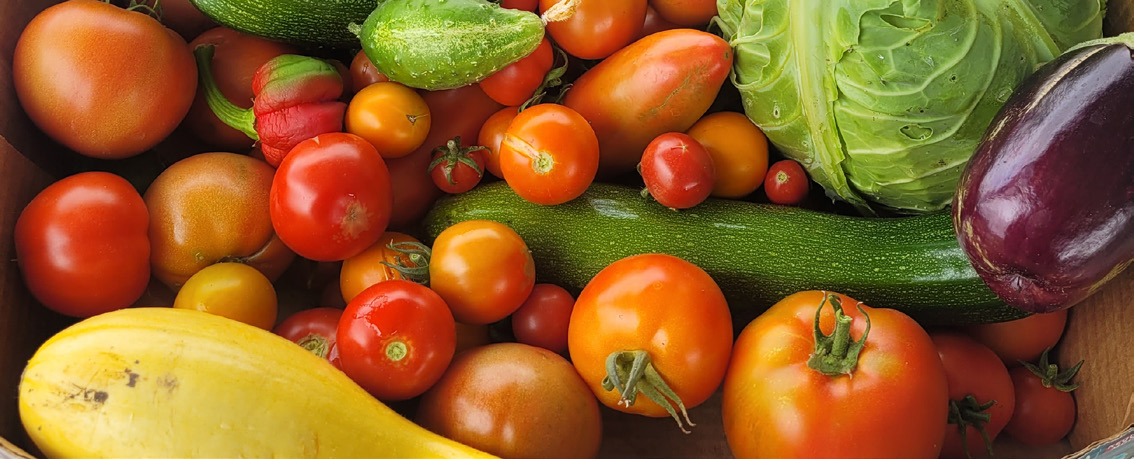 A collection of vegetables fill the image. There are cherry tomatoes, regular tomatoes, egg plant, squash, cucumber, and lettuce.