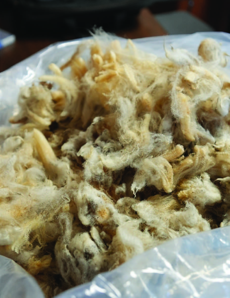 a bag of white wool