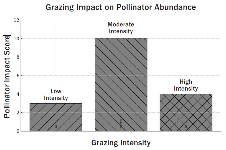 A bar graph respresenting Grazing Impact on Pollinator Abundance with the X axis reading Grazing Intensity and the Y axis reading Pollinator Impact Score. Low grazing intensity has the lowest Pollinator Impact Score, moderate intensity has the highest pollinator impact score, and high intensity has a slightly higher pollinator impact score than low intensity.