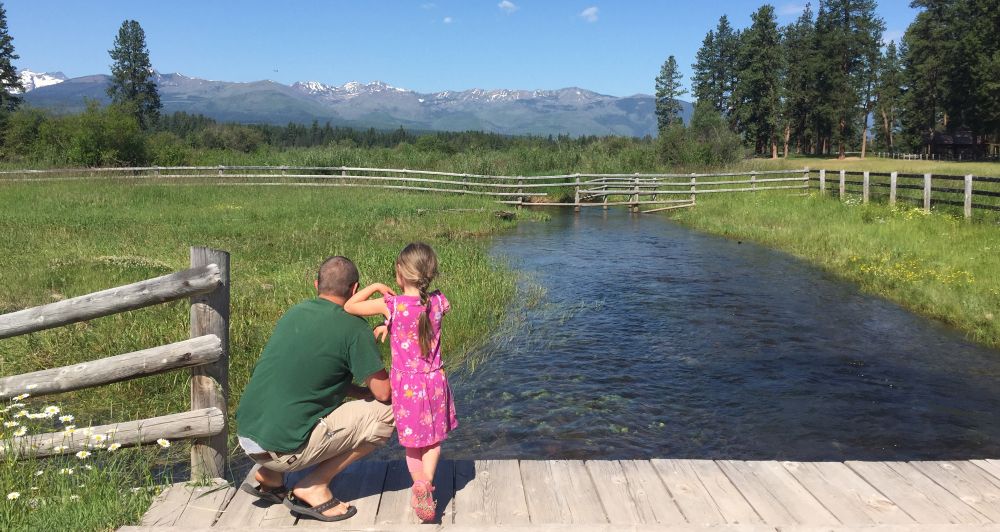 A man and a child standing on a wooden bridge looking into a stream in a grassy meadow, with mountains visible in the distance.