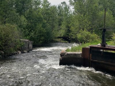 A juncture in a creek where water is being diverted to an irrigation ditch