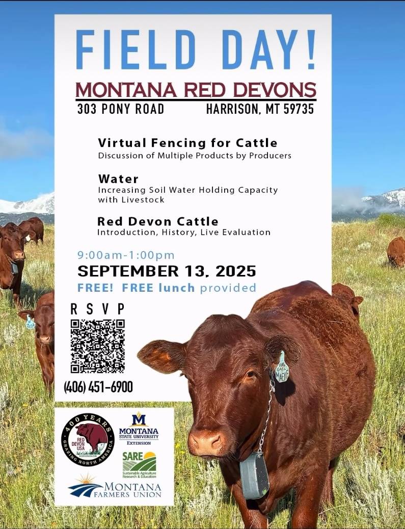 Field Day Harrison Sept 13 25