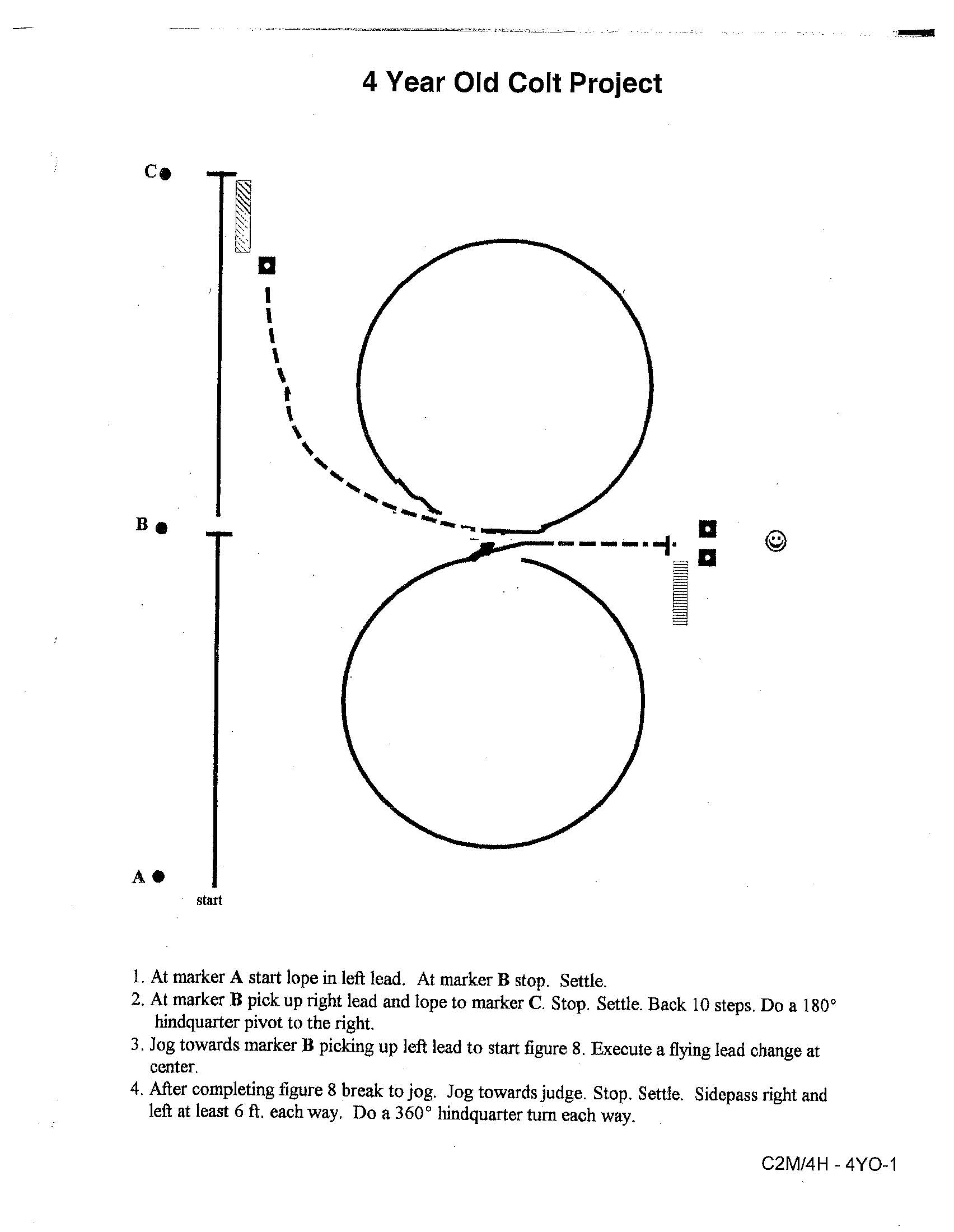 4 yr old colt project 4 yr old colt project