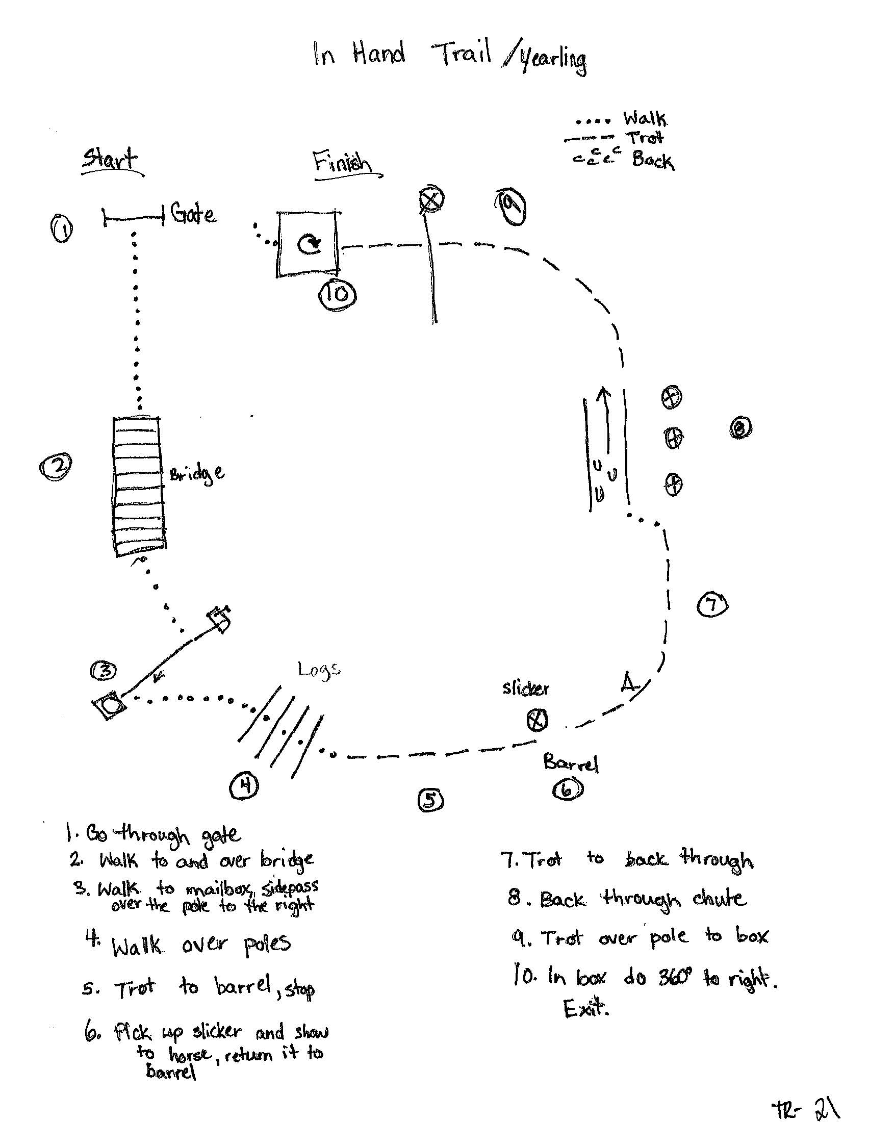 In Hand Trail Yearling In Hand Trail Yearling