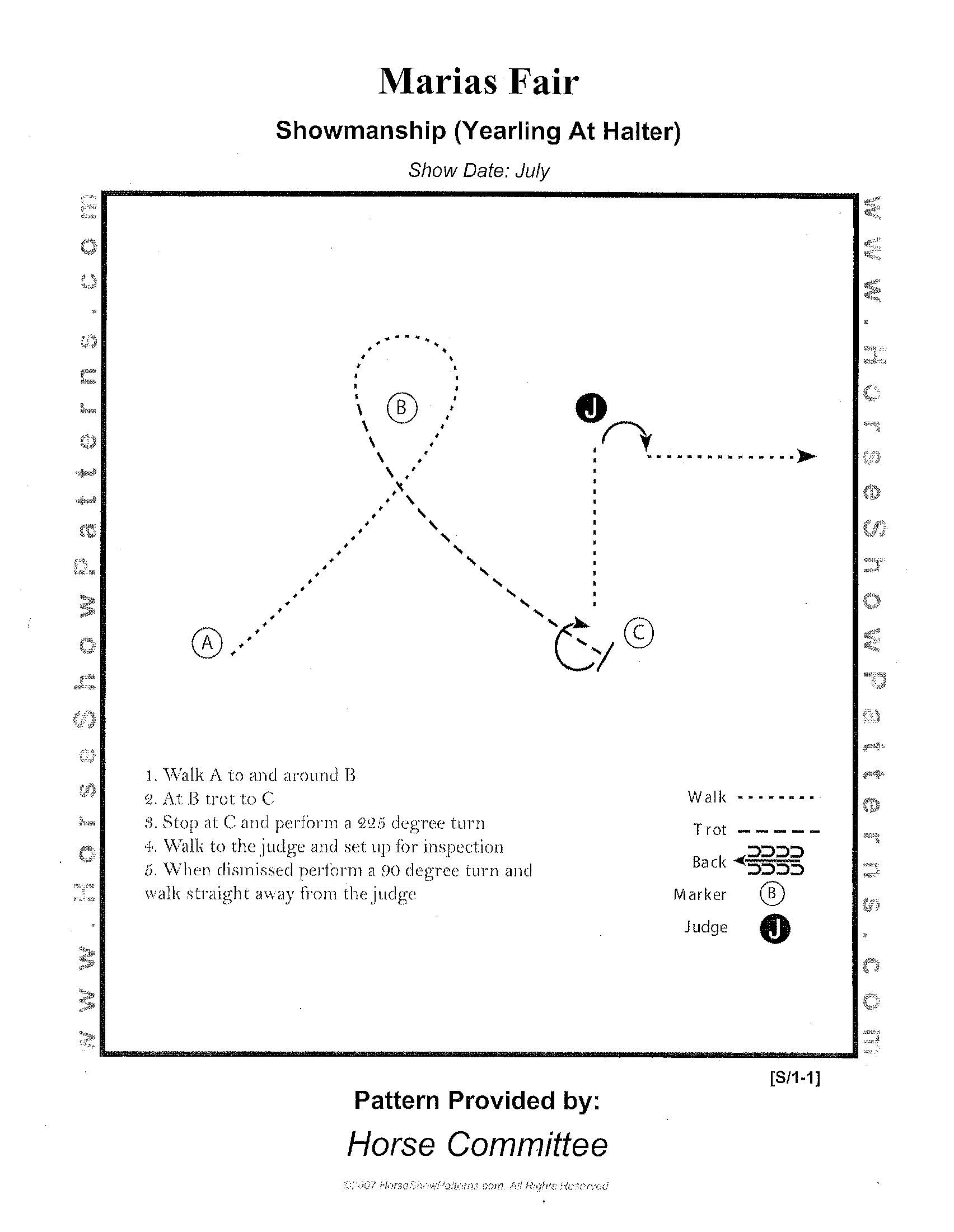 Yearling at Halter Yearling at Halter
