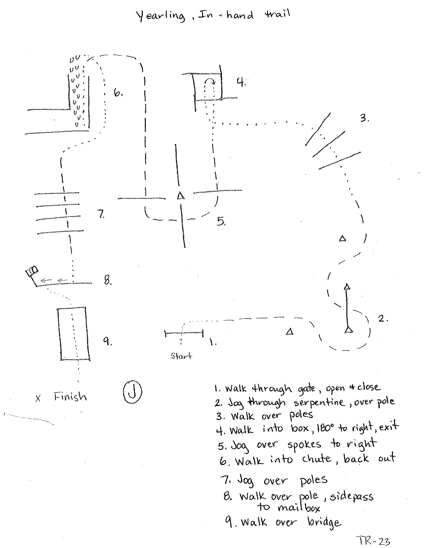 Yearling in hand trail Yearling in hand trail