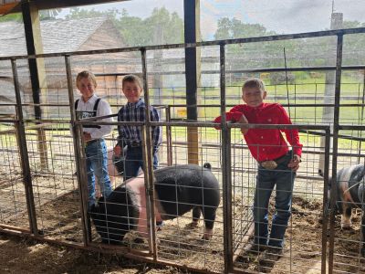 4H Members and their pigs at Fair.