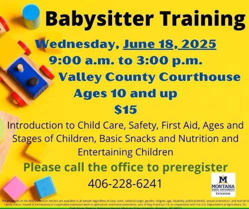 Babysitter Training