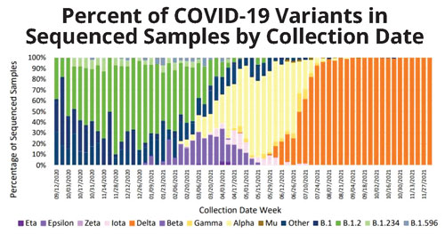 Covid-19 variant graph