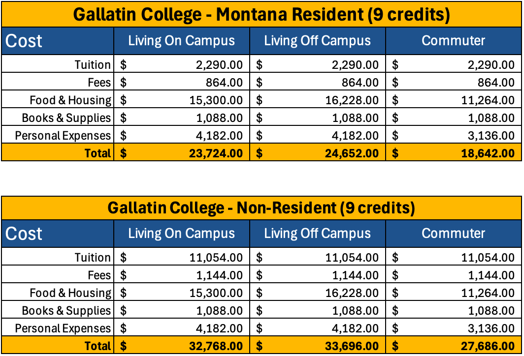 gallatin cost of attendance