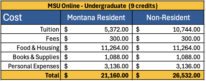 undergraduate online