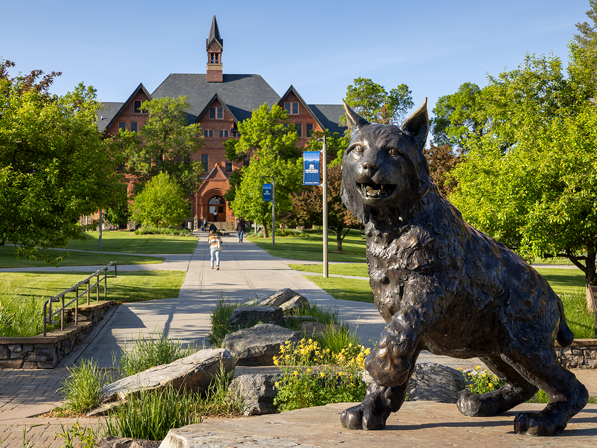 A statue of a bobcat with green trees and grass in the background. Further back is a brick school building