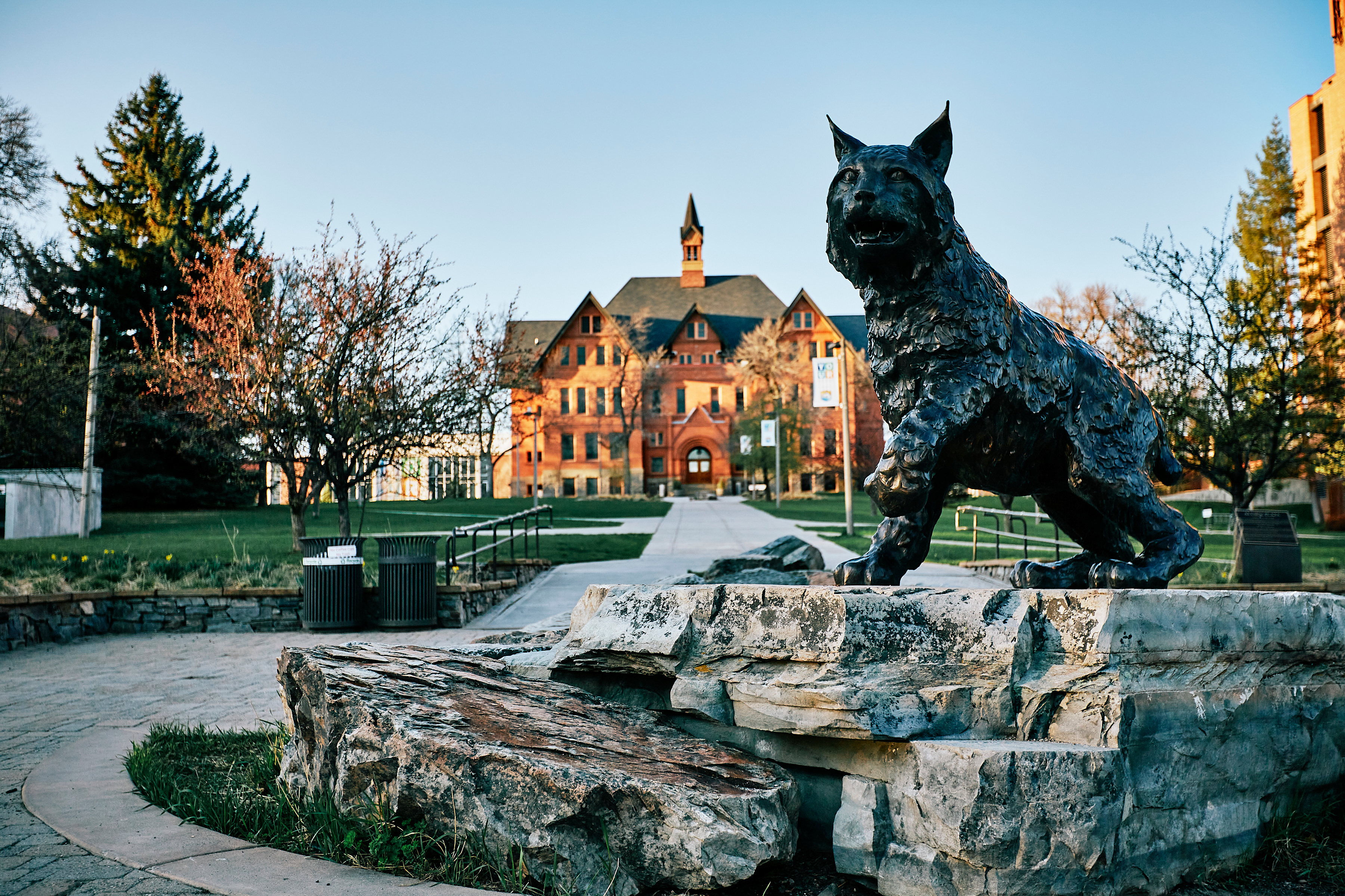 MSU campus