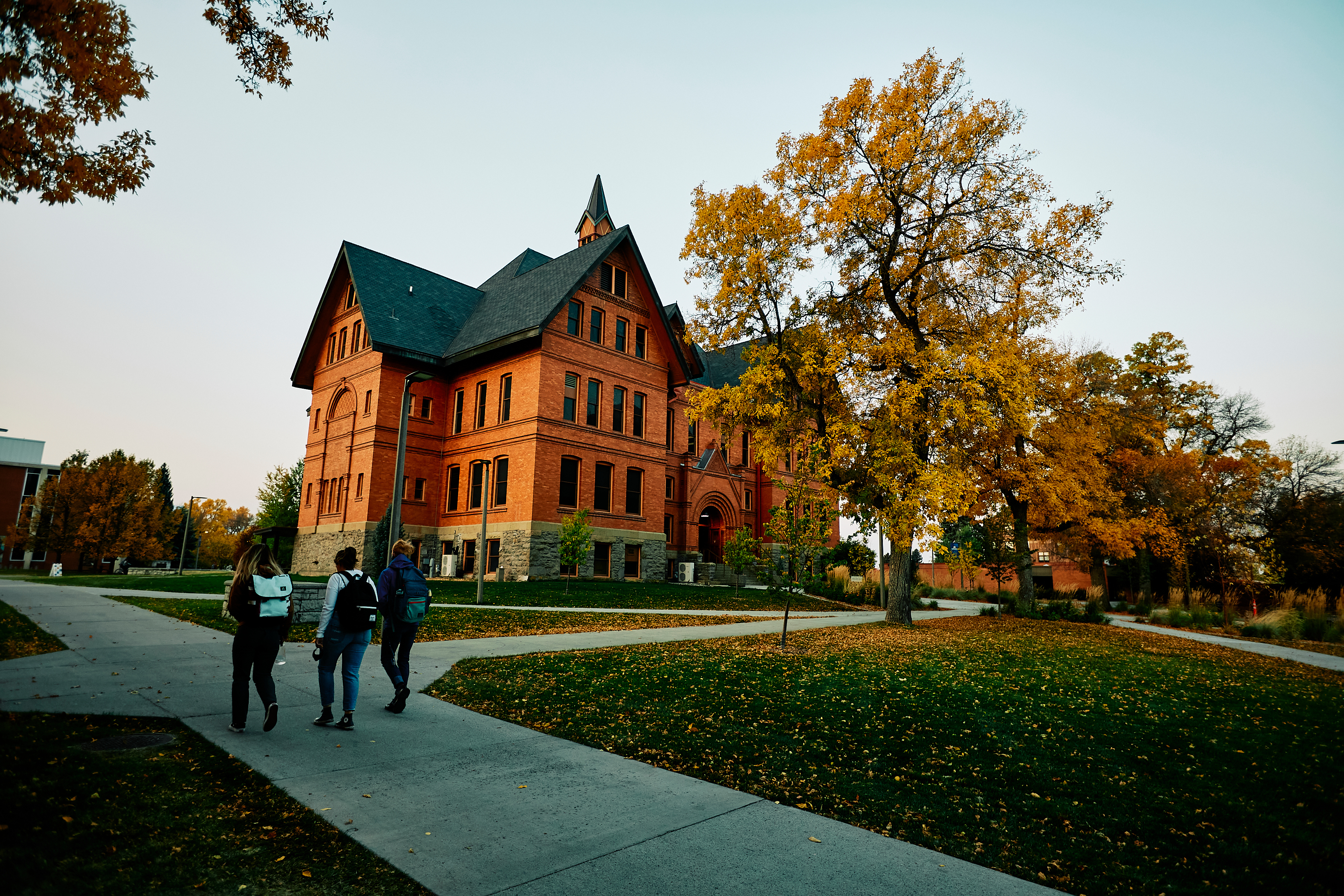 MSU campus