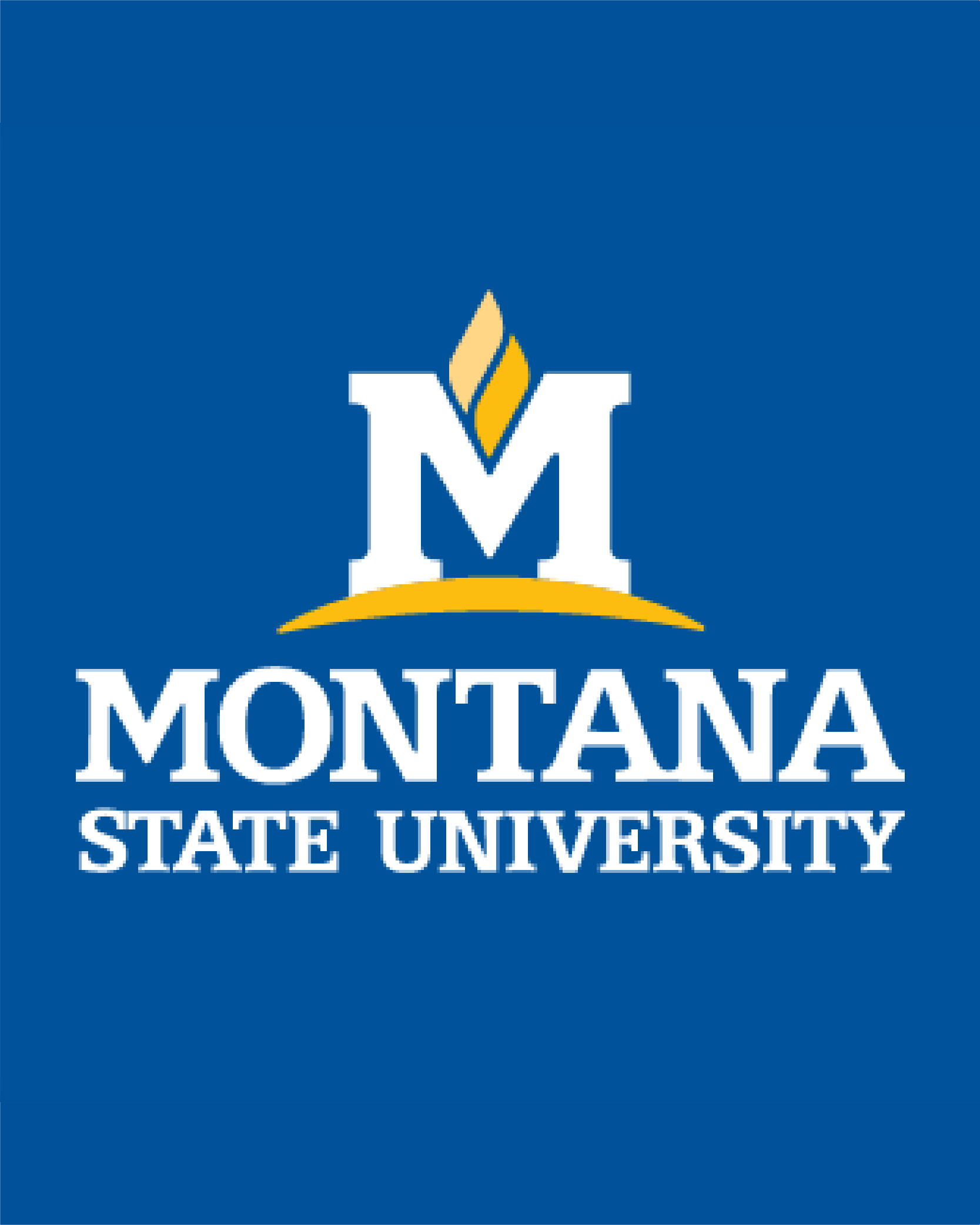 Montana State University logo on a blue background