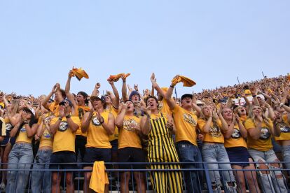 Crowd of fans in yellow and blue cheer enthusiastically at a sports event in a packed stadium.