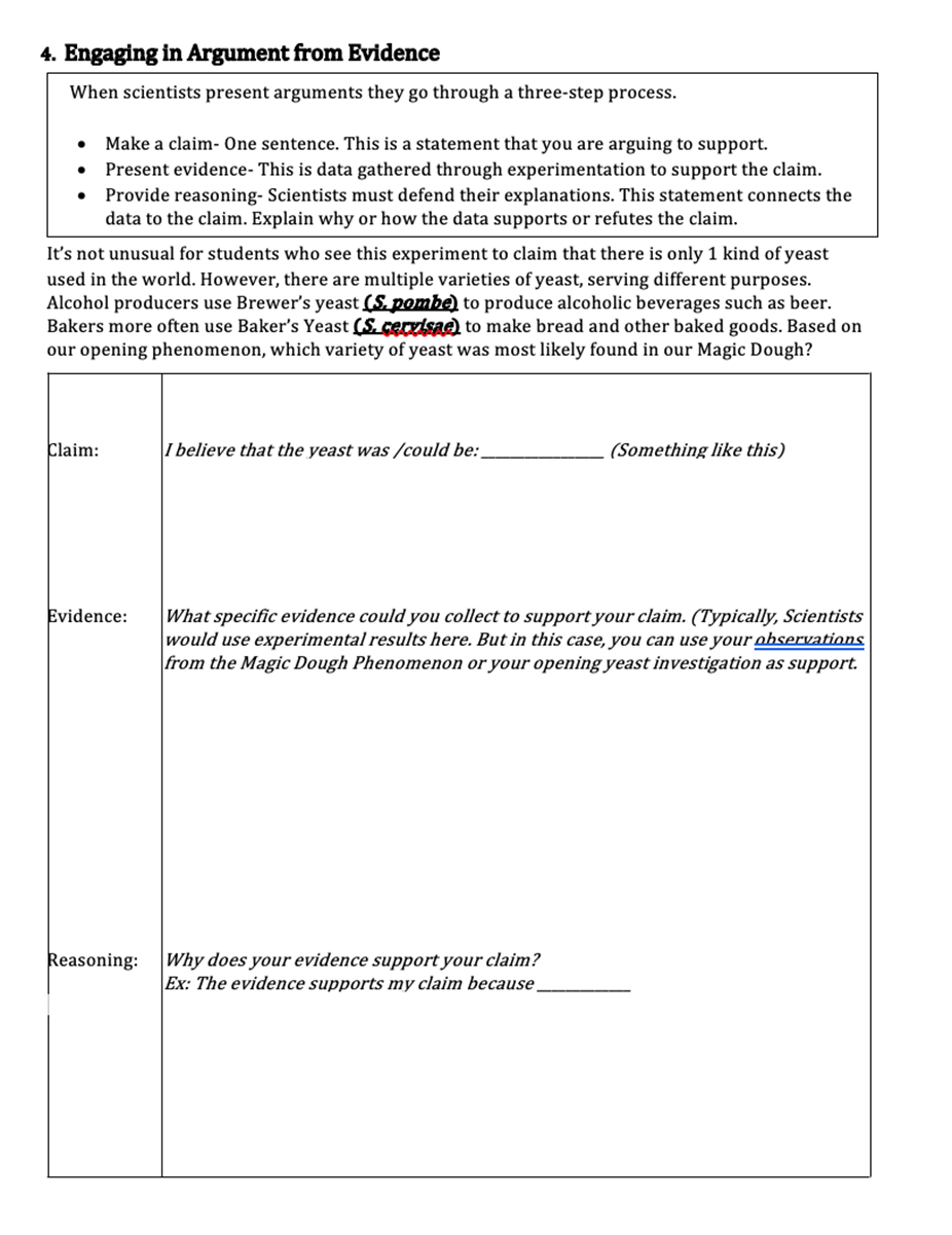 image of student CER for assessment example