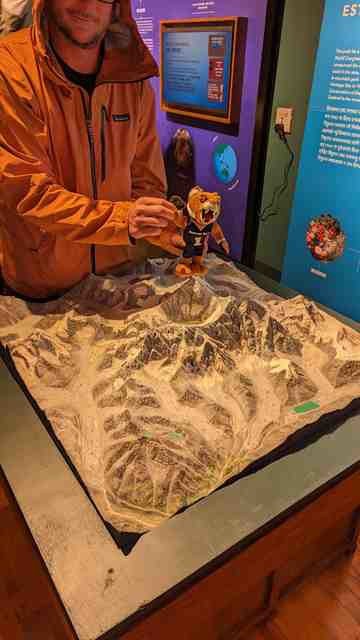 Champ the Bobcat stands on a model of the Nepalese mountains.