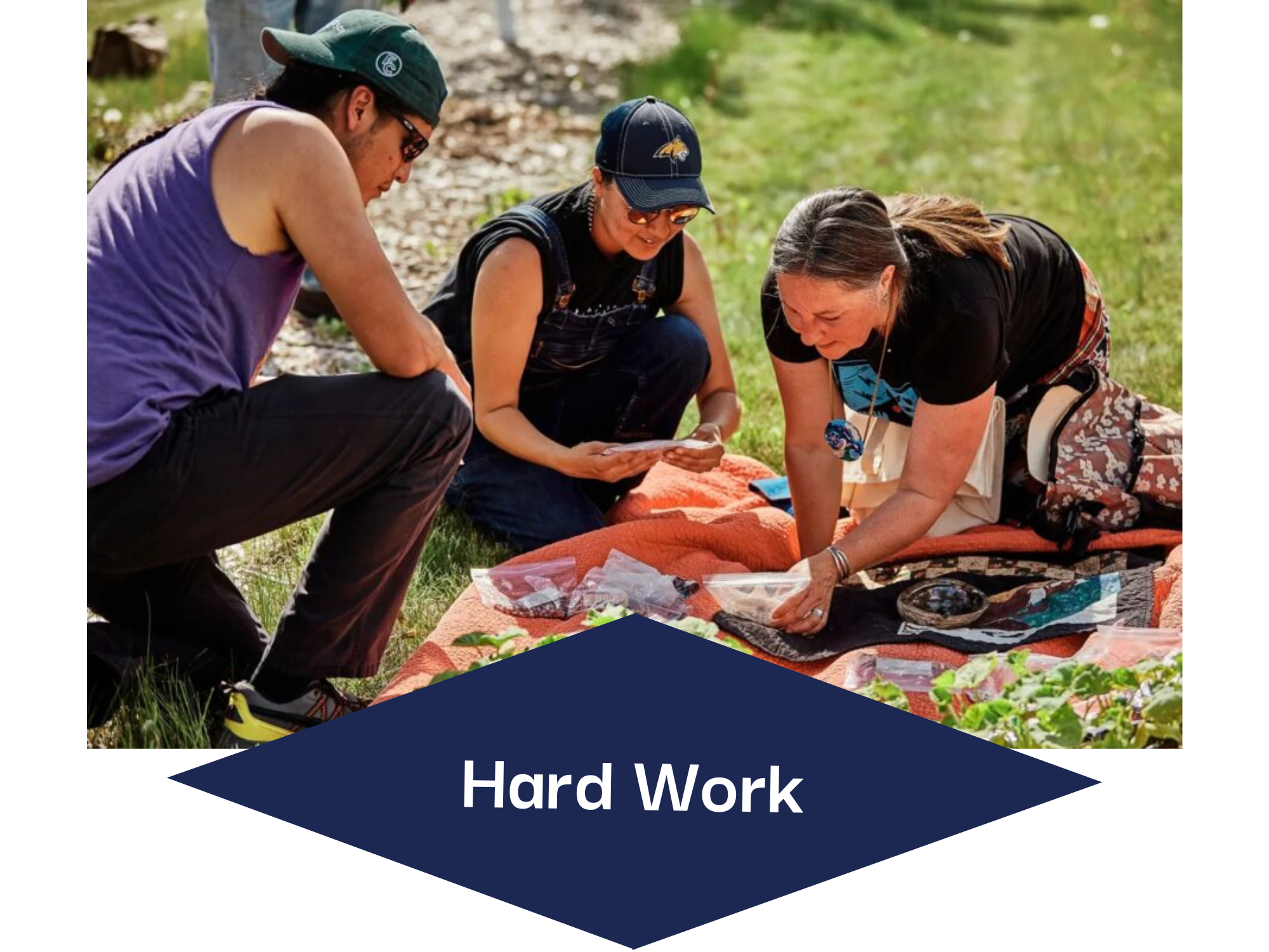 The Hard Work section of our Cultural Values model, showing Buffalo Nations Food Systems Initiative staff looking through Indigenous varieties of seeds.