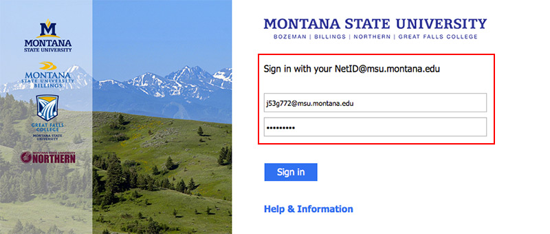 MSU's login page