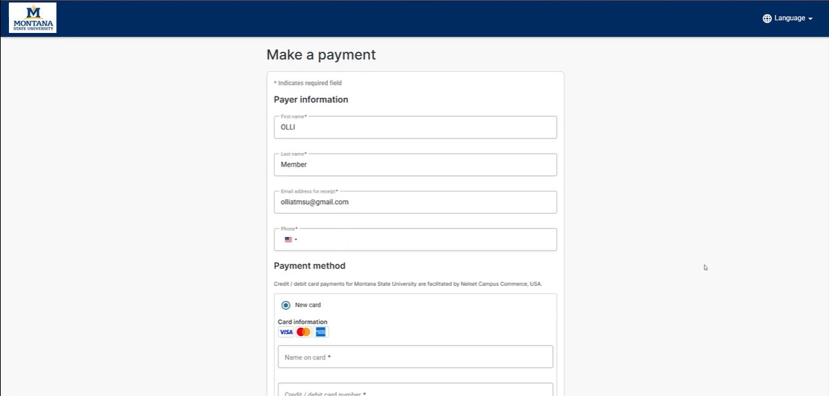Payment portal page where the learner enters billing information and submits payment
